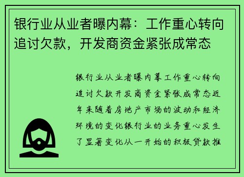 银行业从业者曝内幕：工作重心转向追讨欠款，开发商资金紧张成常态